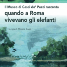 Il Museo di Casal de’ Pazzi racconta: Quando a Roma vivevano gli elefanti