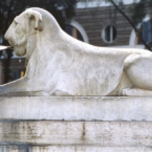 Fontana dei Leoni  in piazza del Popolo, particolare
