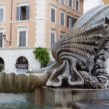 Particolare di una delle conchiglie