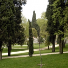 Parco degli scipioni, scorcio