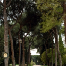 Parco degli scipioni, viale principale
